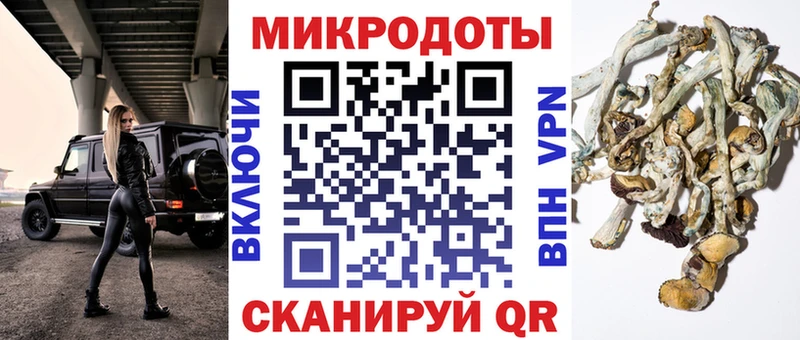 блэк спрут ссылки  как найти   Ленинск  Галлюциногенные грибы мухоморы 